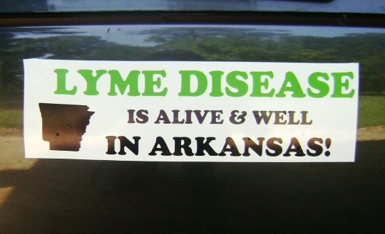 LYme bumper sticker