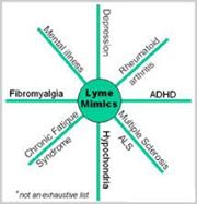 10609578_4398468097128_1182593789471148614_n